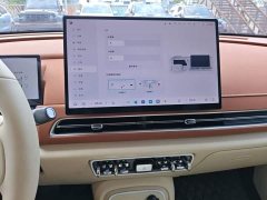 ORA Good Cat 430km Deluxe Edition - ფოტო 18