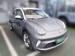 ORA Good Cat 430km Deluxe Edition - ფოტო 6