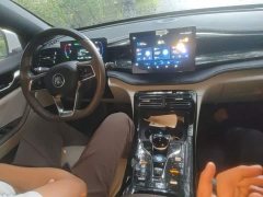 BYD Qin PLUS Champion Edition DM-i 55KM Leading - ფოტო 20