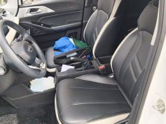 Geely Geometry E Firefly 320KM Cute Tiger 4-Seater - ფოტო 8