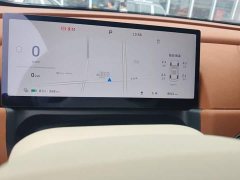 ORA Good Cat 430km Deluxe Edition - ფოტო 17