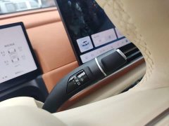 ORA Good Cat 430km Deluxe Edition - ფოტო 19