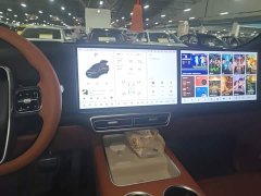 Li Auto L9 2022 Max - ფოტო 9