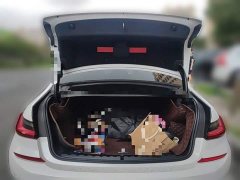 BMW 3 Series 320Li M Sport Package - ფოტო 10