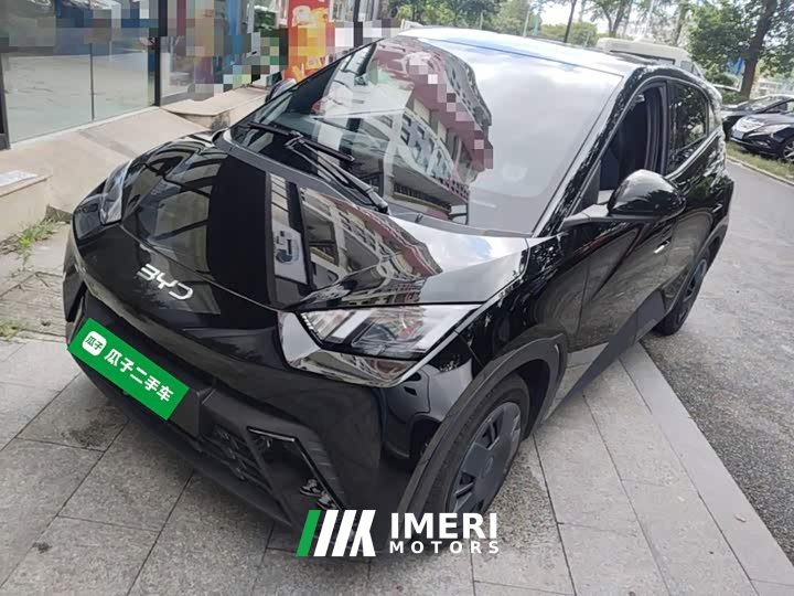 BYD Seagull 305km Vitality Edition - ავტომობილი ჩინეთიდან