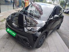 BYD Seagull 305km Vitality Edition - ფოტო 1