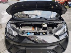BYD Seagull 305km Vitality Edition - ფოტო 19