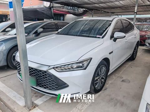 2023 BYD Qin Plus 2021 DM-i 55KM Flagship - ავტომობილი ჩინეთიდან