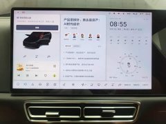 Li Auto L8 Pro - ფოტო 9