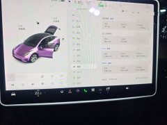 Tesla Model Y Standard Range RWD - ფოტო 6