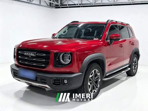 2021 Great Wall Dachshund 2.0T DCT Four-Wheel Drive Chinese Rural Dog Edition - ავტომობილი ჩინეთიდან