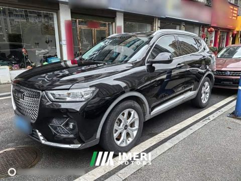 2021 Haval H6 National Trend 1.5T Automatic Champion Edition