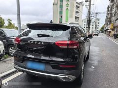Haval H6 National Trend 1.5T Automatic Champion Edition - ფოტო 15
