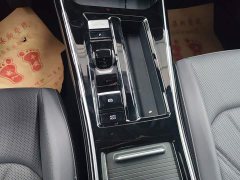 Volkswagen Lingdu 2026 Lingdu L GTS 380TSI Lingfeng Million Anniversary Edition - ფოტო 10
