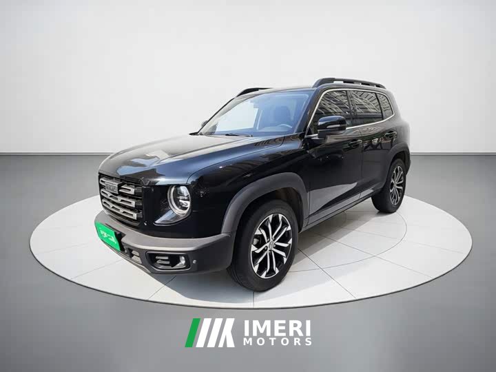 Great Wall Dachshund 1.5T DCT Two-Wheel Drive Border Collie Edition - ავტომობილი ჩინეთიდან