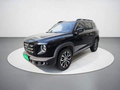 Great Wall Dachshund 1.5T DCT Two-Wheel Drive Border Collie Edition - ფოტო 2