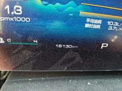 Great Wall Dachshund 1.5T DCT Two-Wheel Drive Border Collie Edition - ფოტო 5