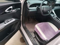 Geely Star Wish 310km Dream Edition - ფოტო 14