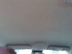 Geely Star Wish 310km Dream Edition - ფოტო 9