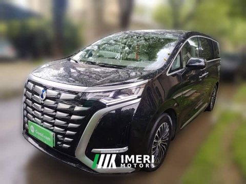 2022 Denza BYD Denza D9 DM-i 1040 Premium - ავტომობილი ჩინეთიდან
