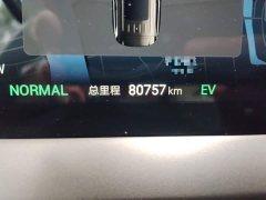 Denza BYD Denza D9 DM-i 1040 Premium - ფოტო 5
