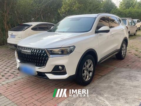 2022 Haval H6 National Trend 1.5GDIT Automatic Champion Edition