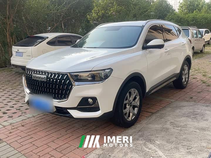 Haval H6 National Trend 1.5GDIT Automatic Champion Edition