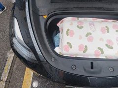 Tesla Model Y Rear-Wheel Drive - ფოტო 19
