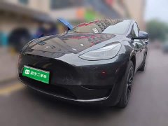 Tesla Model Y Rear-Wheel Drive - ფოტო 2