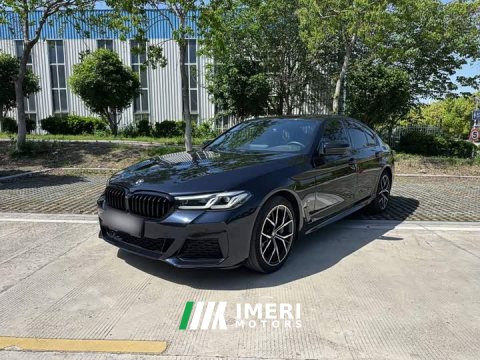 2021 BMW 5 Series (Imported) 530i M Sport Package - ავტომობილი ჩინეთიდან