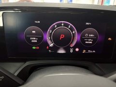 Volkswagen Magotan 380TSI DSG Premium Edition - ფოტო 8