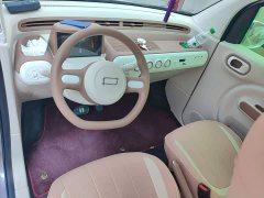 FAW Besturn Xiaoma 2026 222km Colorful Edition - ფოტო 13