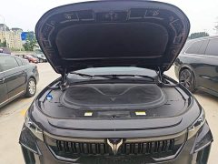 Voyah FREE Extended Range Intelligent Driving Edition - ფოტო 18