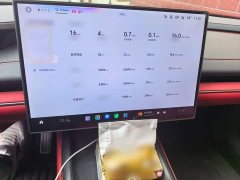 Xiaomi SU7 2024 Quad Motor Ultra-Long Range Advanced Autonomous Driving Max - ფოტო 6