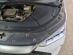BYD Song Plus New Energy 2021 DM-i 110KM Flagship - ფოტო 19