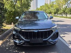 Changan Oushan X5 1.5T DCT Luxury - ფოტო 6