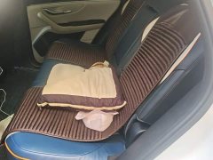 BYD Song Plus New Energy 2021 DM-i 51KM Premium Edition - ფოტო 13