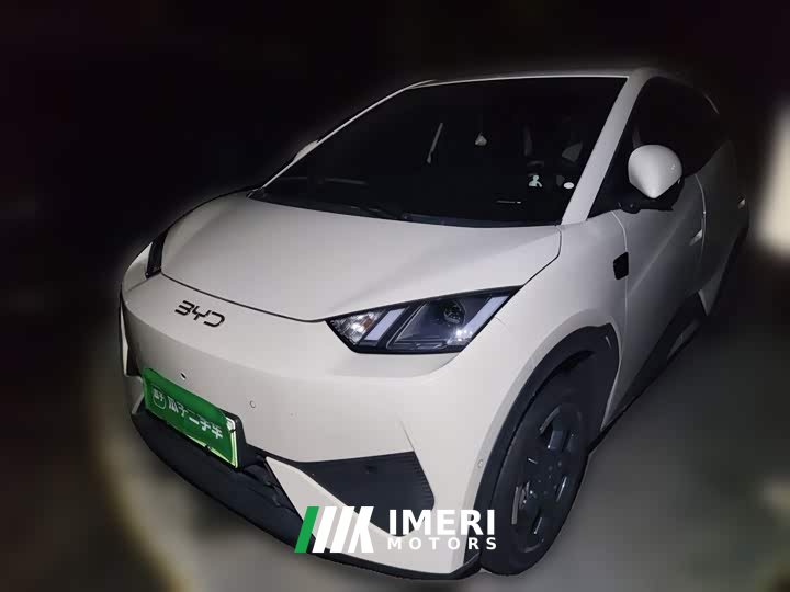 BYD Seagull Smart Driving Edition 305km Freedom Edition