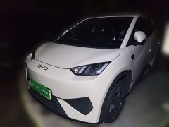 BYD Seagull 2025 Smart Driving Edition 305km Freedom Edition - ფოტო 2