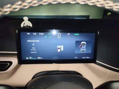 BYD Seagull 2025 Smart Driving Edition 305km Freedom Edition - ფოტო 4