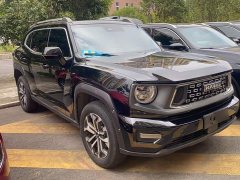 Haval Big Dog PLUS 2023 1.5T Two-Wheel Drive Trendy Wilderness Edition Plus - ფოტო 4