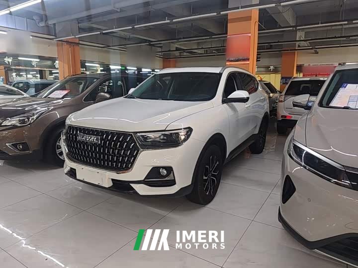 Haval H6 2023 National Trend Edition 1.5T Automatic Urban Version - ავტომობილი ჩინეთიდან