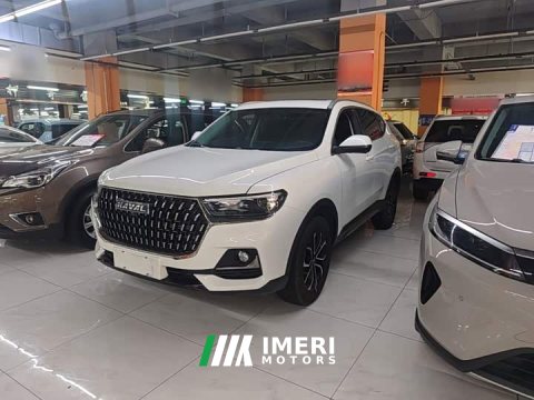 2024 Haval H6 2023 National Trend Edition 1.5T Automatic Urban Version - ავტომობილი ჩინეთიდან