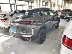 Geely Bingyue L 1.5TD DCT Star Shine - ფოტო 11