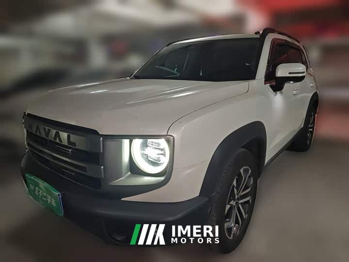 Great Wall Dachshund 2022 1.5T DCT Two-Wheel Drive Border Collie Edition - ავტომობილი ჩინეთიდან