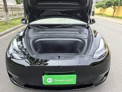 Tesla Model Y Long Range All-Wheel Drive - ფოტო 10