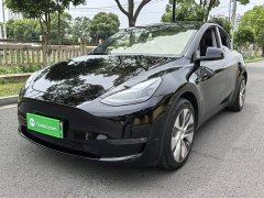 Tesla Model Y Long Range All-Wheel Drive - ფოტო 2