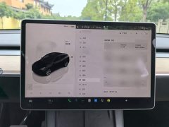 Tesla Model Y Long Range All-Wheel Drive - ფოტო 4