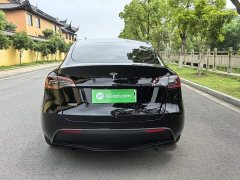 Tesla Model Y Long Range All-Wheel Drive - ფოტო 9