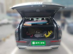 Volkswagen Lanxun 2024 330TSI Luxury Touring Shared Edition - ფოტო 10